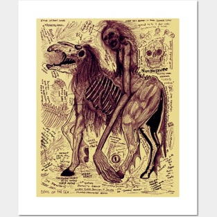 Nuckelavee - Plague Posters and Art